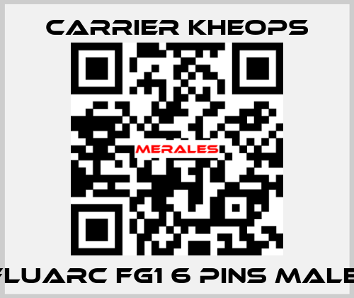  Fluarc FG1 6 Pins Male  Carrier Kheops