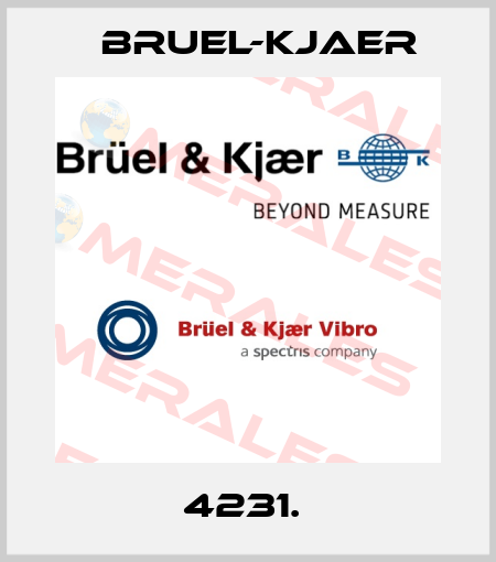 4231.  Bruel-Kjaer