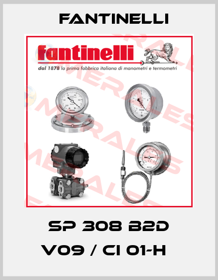 SP 308 B2D V09 / CI 01-H   Fantinelli