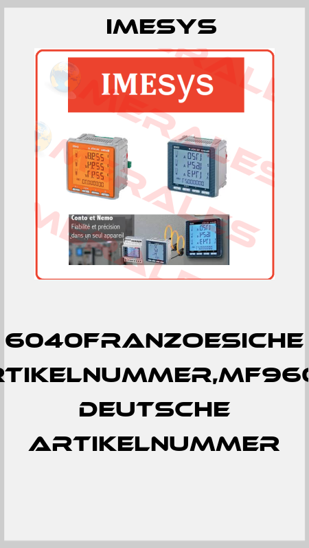  6040Franzoesiche Artikelnummer,MF96001 Deutsche Artikelnummer  Imesys