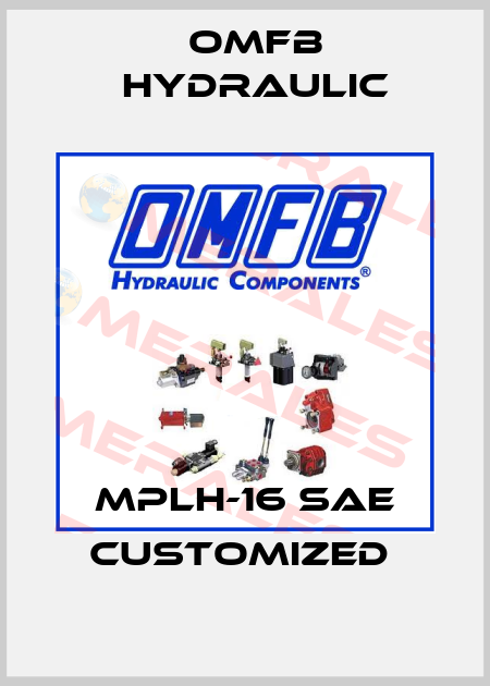 MPLH-16 SAE customized  OMFB Hydraulic
