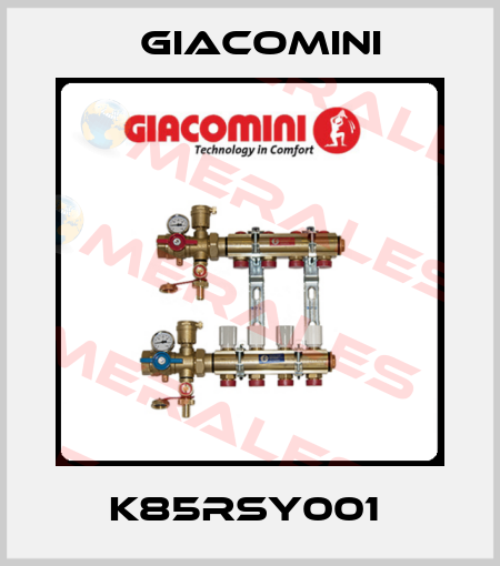 K85RSY001  Giacomini