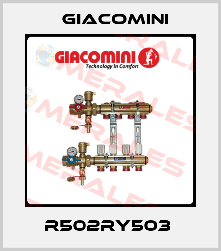 R502RY503  Giacomini