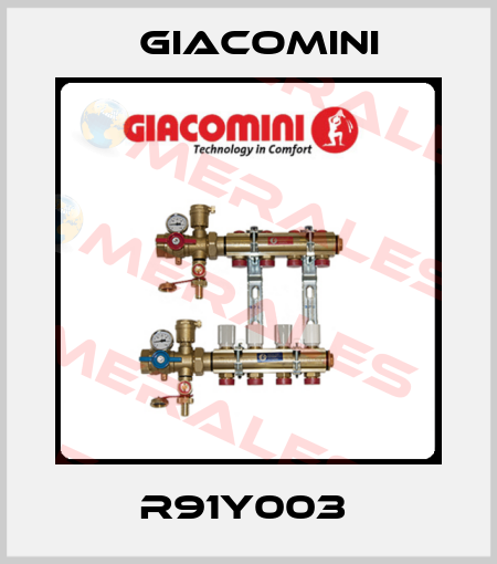 R91Y003  Giacomini