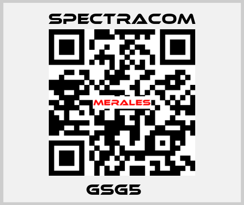 GSG5　  SPECTRACOM