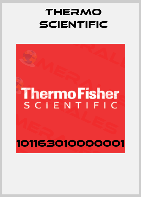 101163010000001  Thermo Scientific