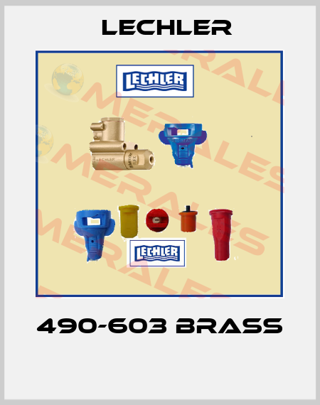 490-603 Brass  Lechler