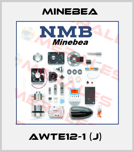 AWTE12-1 (J)  Minebea