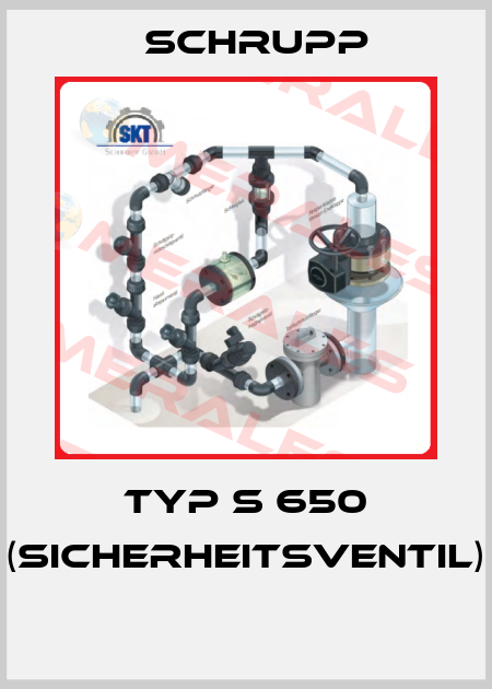 Typ S 650 (Sicherheitsventil)  Schrupp