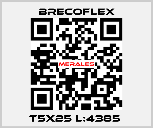 T5X25 L:4385  Brecoflex