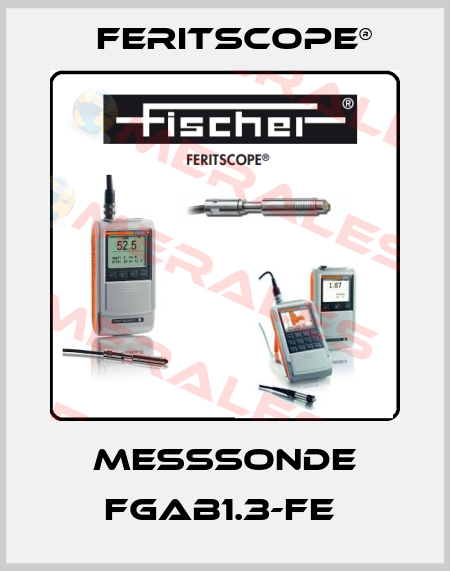 MESSSONDE FGAB1.3-Fe  Feritscope®