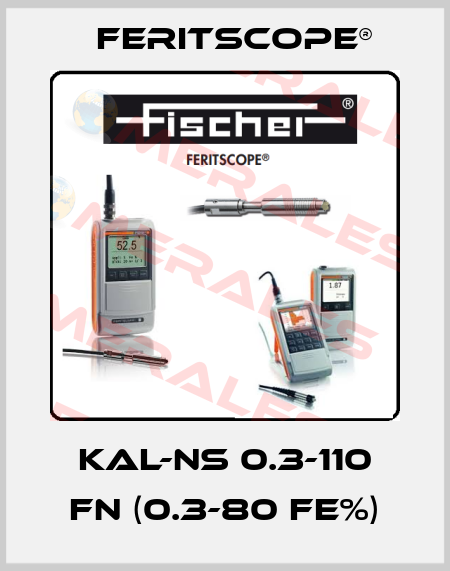KAL-NS 0.3-110 FN (0.3-80 Fe%) Feritscope®