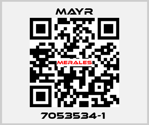 7053534-1  Mayr