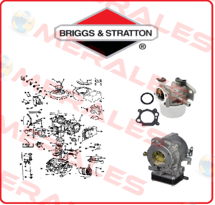 843953-BRI  Briggs-Stratton