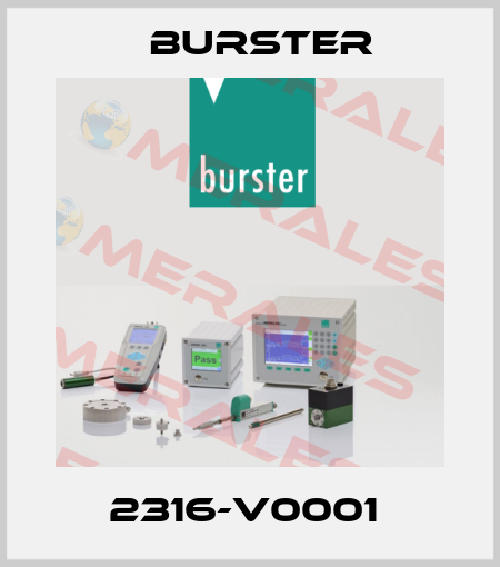 2316-V0001  Burster
