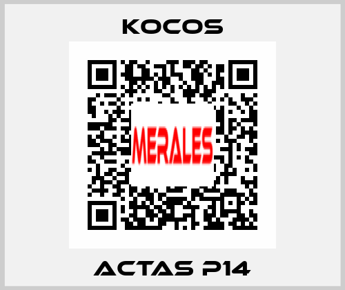 ACTAS P14 KoCoS