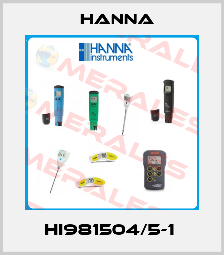 HI981504/5-1  Hanna