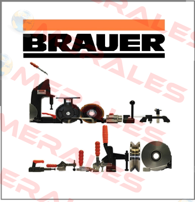 AM20 Brauer