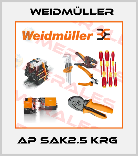 AP SAK2.5 KRG  Weidmüller