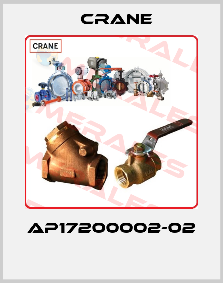 AP17200002-02  Crane