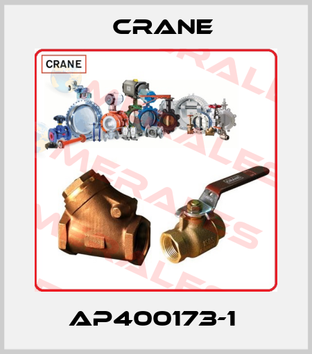 AP400173-1  Crane