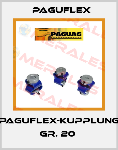 Paguflex-Kupplung Gr. 20  Paguflex