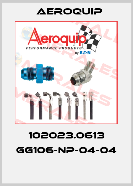 102023.0613 GG106-NP-04-04  Aeroquip