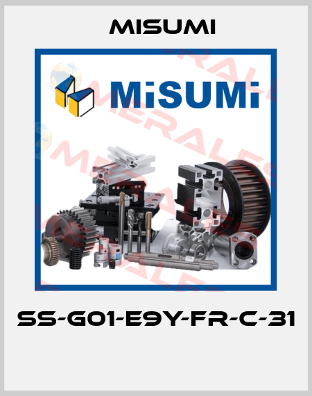 SS-G01-E9Y-FR-C-31  Misumi
