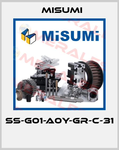 SS-G01-A0Y-GR-C-31  Misumi