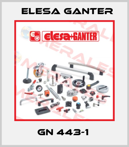 GN 443-1  Elesa Ganter