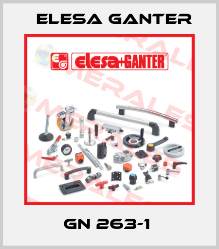 GN 263-1  Elesa Ganter