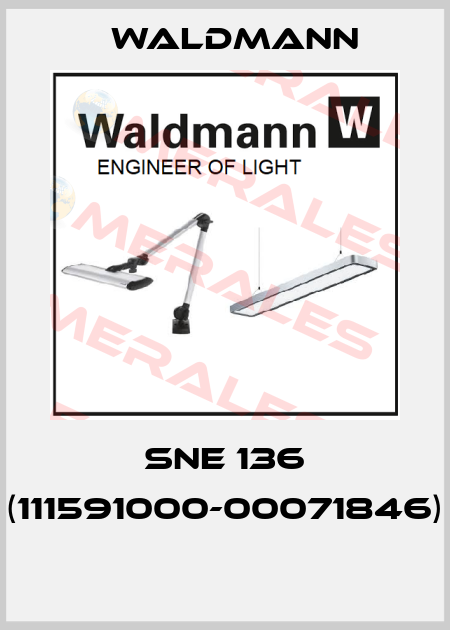 SNE 136 (111591000-00071846)  Waldmann