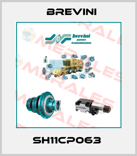 SH11CP063  Brevini