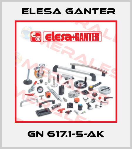 GN 617.1-5-AK Elesa Ganter