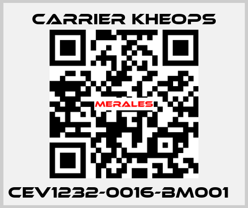 CEV1232-0016-BM001   Carrier Kheops