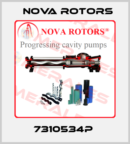 7310534P  Nova Rotors