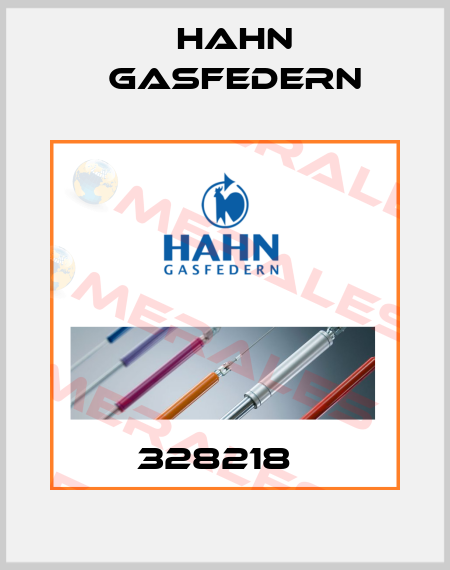 328218   Hahn Gasfedern