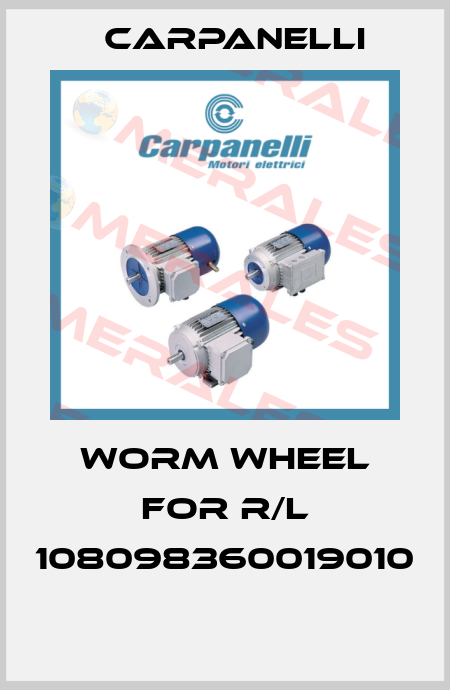 Worm wheel for R/L 108098360019010  Carpanelli