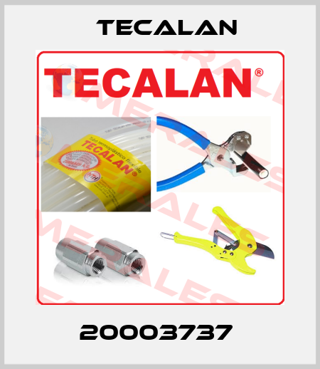 20003737  Tecalan