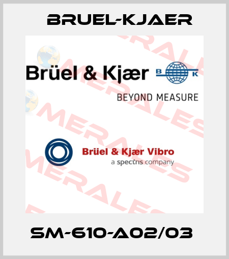 SM-610-A02/03  Bruel-Kjaer
