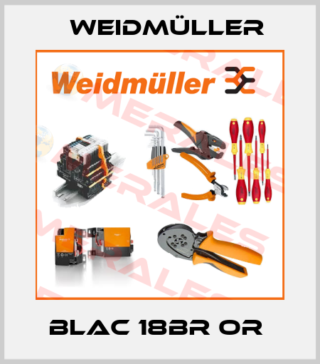 BLAC 18BR OR  Weidmüller