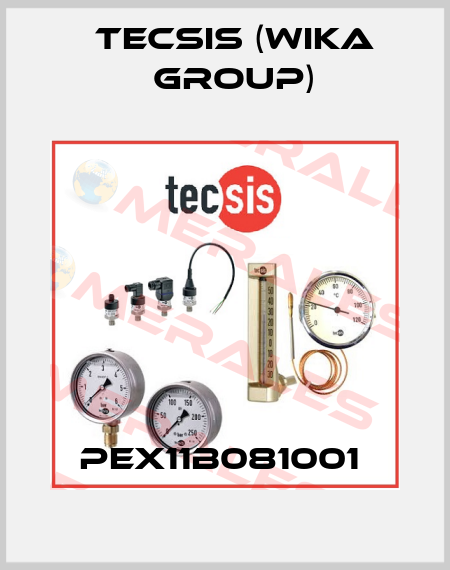 PEX11B081001  Tecsis (WIKA Group)