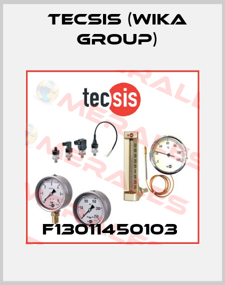 F13011450103  Tecsis (WIKA Group)
