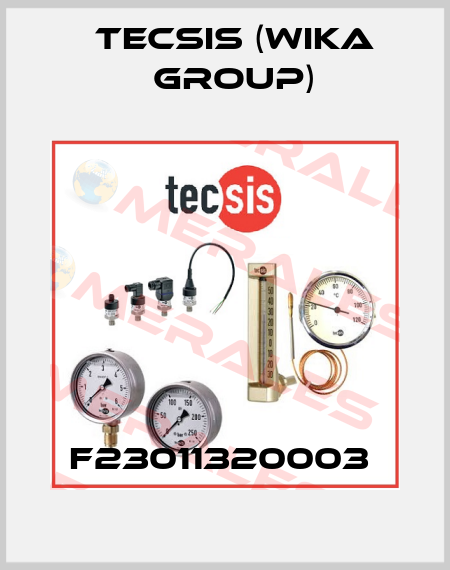 F23011320003  Tecsis (WIKA Group)