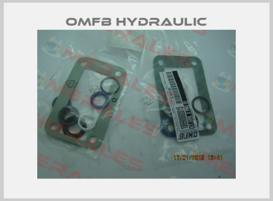106-900-00015 OMFB Hydraulic