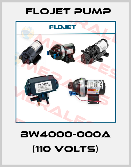 BW4000-000A (110 VOLTS) Flojet Pump