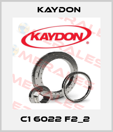 C1 6022 F2_2  Kaydon