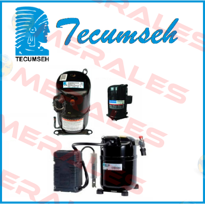 CAE 2417 Z  Tecumseh