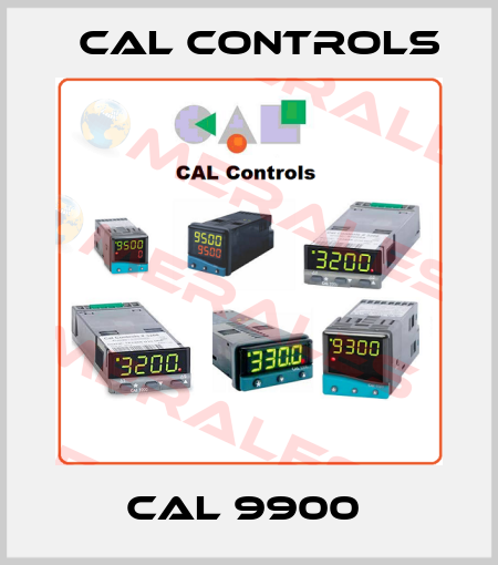 CAL 9900  Cal Controls