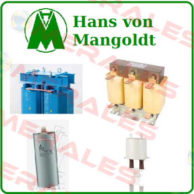 1036582  Hans von Mangoldt